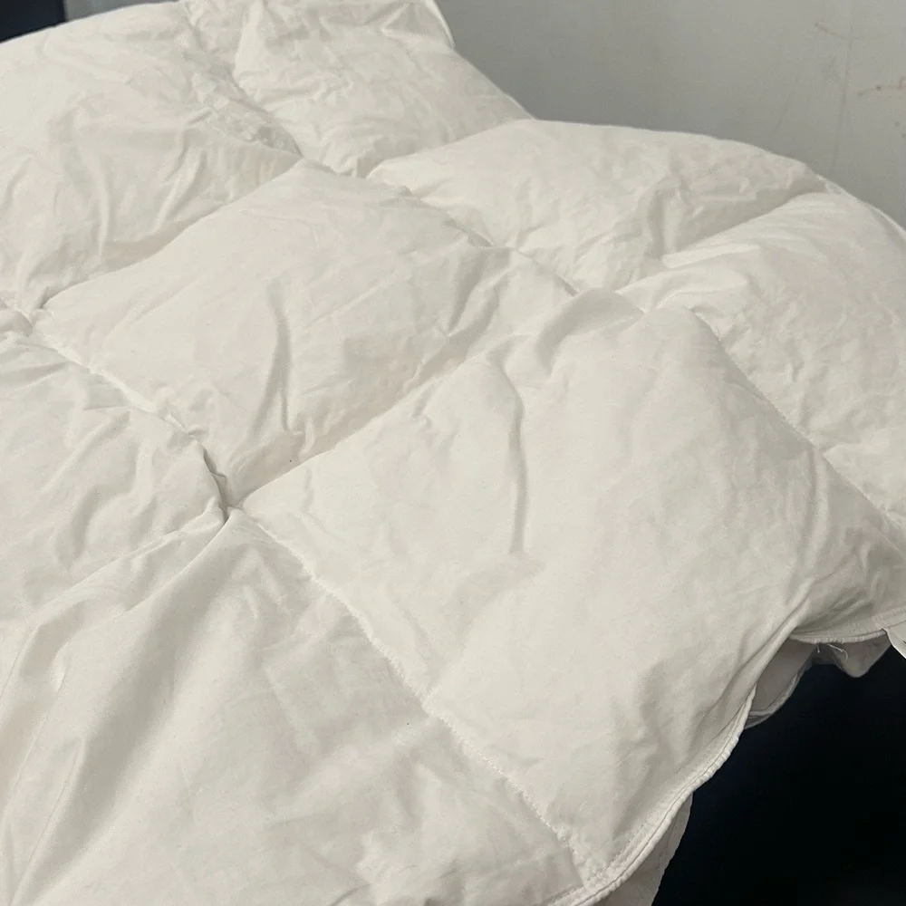 NWT West Elm European Down Duvet Insert - Twin/Twin XL